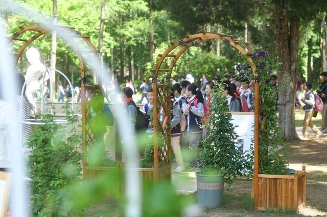 可卿、虞姬、昭君……去南京中山植物园铁线莲展邂逅“美人”