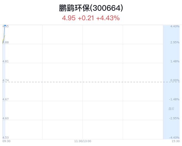 鹏鹞环保大幅上涨 主力净流入增加