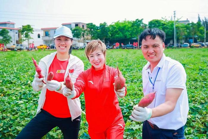 地瓜界的“爱马仕”，到底有何独特风味？