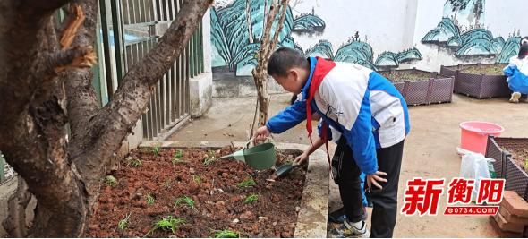 珠晖区东风路小学校区：以五育融合为路径厚植学生清廉意识