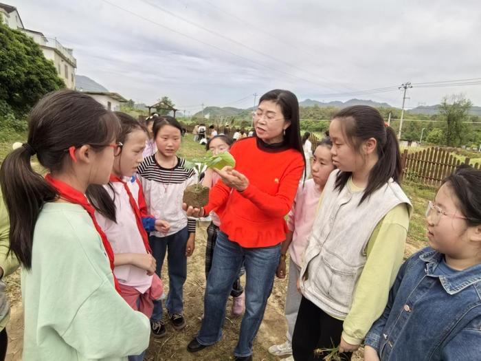 绩溪县实验小学开展劳动教育实践活动，落实劳动育人理念