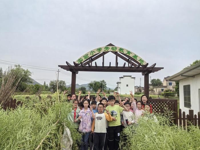 绩溪县实验小学开展劳动教育实践活动，落实劳动育人理念