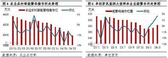 仔猪价格一路上涨！头均盈利高达300元，二次育肥热情高涨！下半年猪价或上涨动力增强！