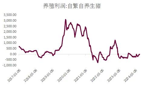 猪价迎来拐点 玉米饲用需求会好转吗？