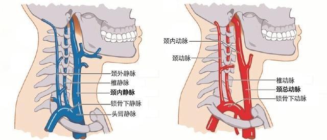 按摩按出了苹果大小的肿块，这到底是肿么一回事儿？