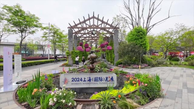 上海免费开放的1500米最美赏花大道又上新啦！来西岸滨江FLOWER WALK→