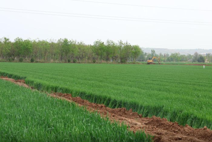 泾惠渠灌区持续开展末级渠系改造 打通农田灌溉最后一公里