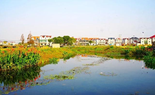 春日“沪”水游丨浦东：春风又绿江南岸，海沈邀您赴春约