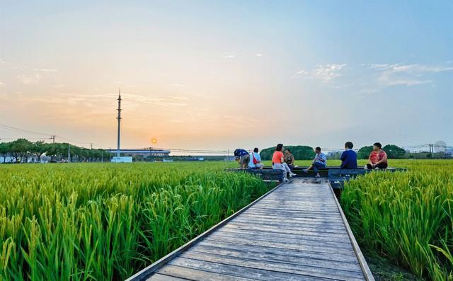 春日“沪”水游丨浦东：春风又绿江南岸，海沈邀您赴春约