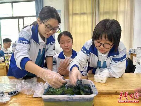 多元课堂 特色教研 湘潭市普通高中“双新”实施省级实验校成果展示在湘钢一中举行