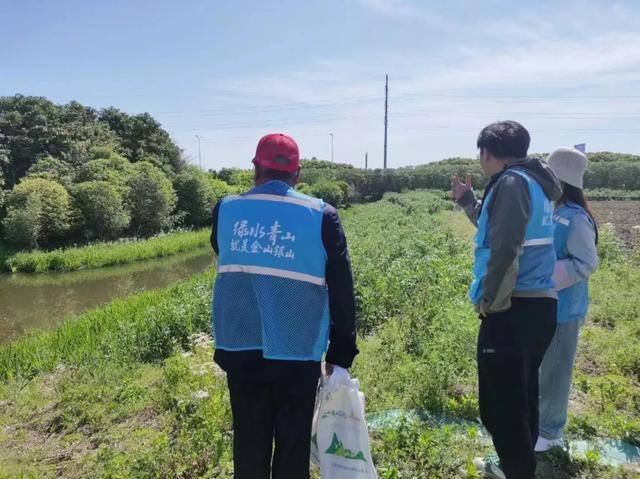 辖区水生态环境该如何维护？青村的TA们用这些方式解民忧→