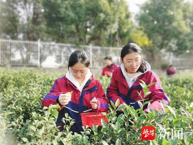 【乘风启航·上好高中】南京市六合区实验高级中学：激扬青春 实现梦想的沃土