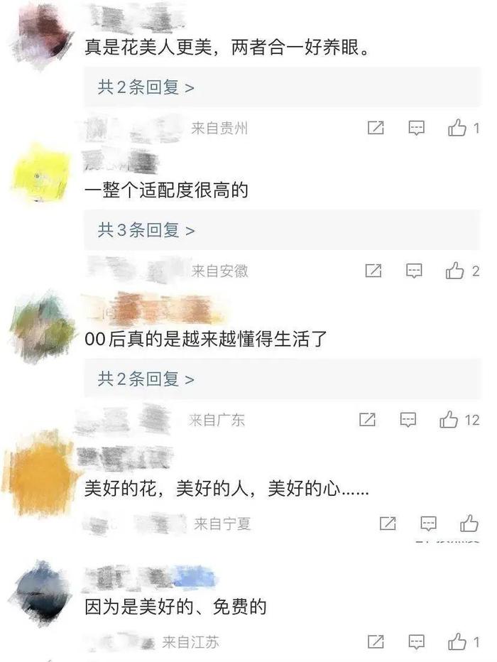 赏花，不单是赏花！开专线、做春鲜 “花式一条龙”来了