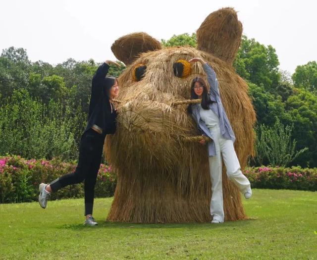 微度假in青浦丨美食音乐露营嘉年华，稻草人艺术展！东方绿舟等你来打卡！