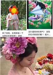 赏花，不单是赏花！开专线、做春鲜 “花式一条龙”来了