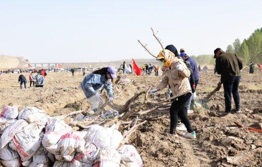 肃北县开展2024年春季义务植树活动