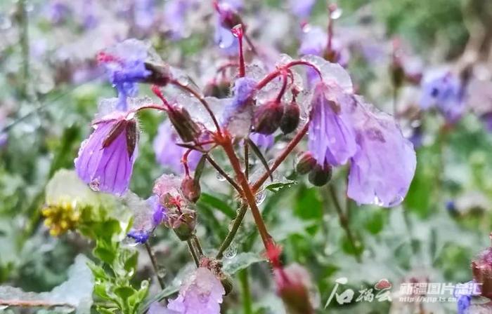 雨雪“敲门”，低温0℃，今天冷到你了吗？