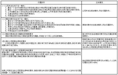 证券代码：688078    证券简称:龙软科技    公告编号：2024-020