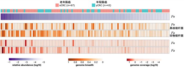 青年肠癌发病率翻倍？和老年肠癌有何不同？Nature子刊最新研究揭秘