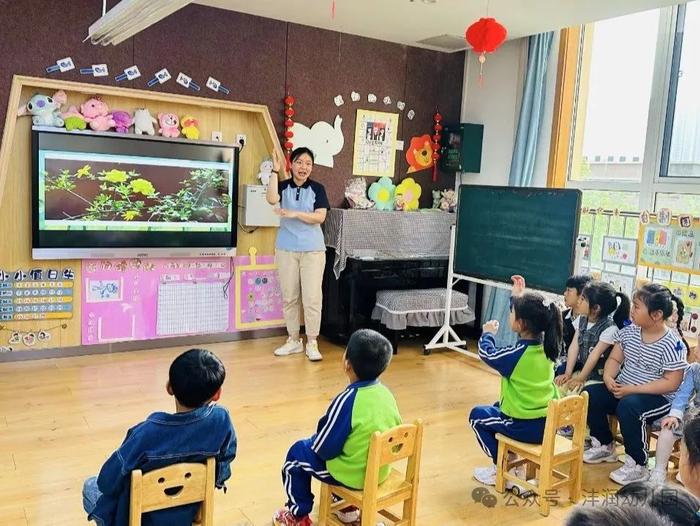 沣西沣润幼儿园青年教师教学观摩研讨活动