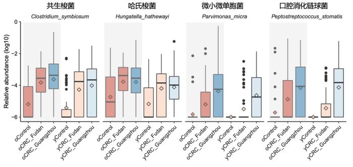 青年肠癌发病率翻倍？和老年肠癌有何不同？Nature子刊最新研究揭秘