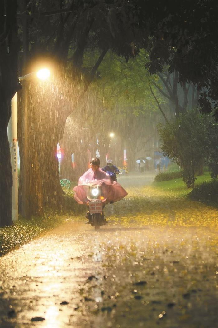 太能下了！三天两次暴雨红色预警 预计深圳未来五天仍多暴雨和强对流天气