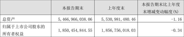 ST澄星：2024年第一季度亏损738.89万元