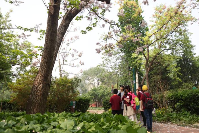 北京市少年宫植物大课堂开课，300余小学生与大自然亲密接触