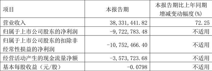 *ST目药：2024年第一季度亏损972.28万元