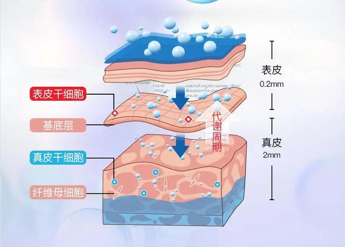 穿了这么多年的T恤，你真的选对了吗？