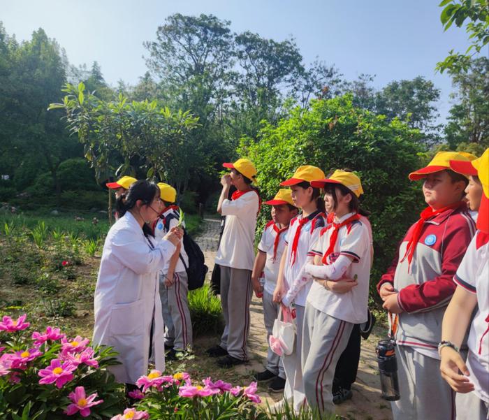 二七区刘胡垌小学：走进春天 踏上医博馆之旅