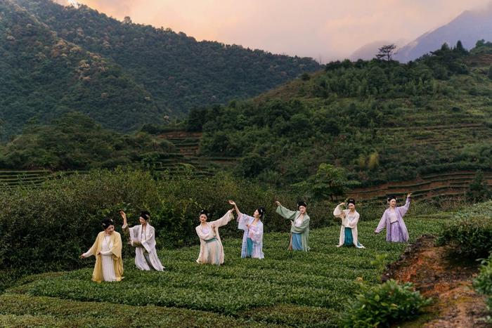 “2024茶文旅融合发展大会”特邀超模团队打卡铁观音发源地——福建安溪