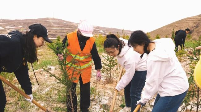 甘肃物流集团团委组织开展“植此青绿  青春有YOUNG”义务植树活动