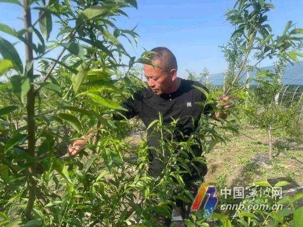 杭甬高速复线开通百日，为宁波人带来了哪些变化？