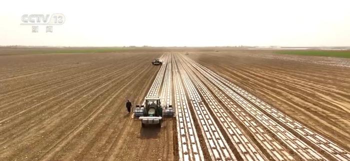 新疆全面使用无人驾驶北斗卫星导航精量播种机 棉花种植机械化率达100%
