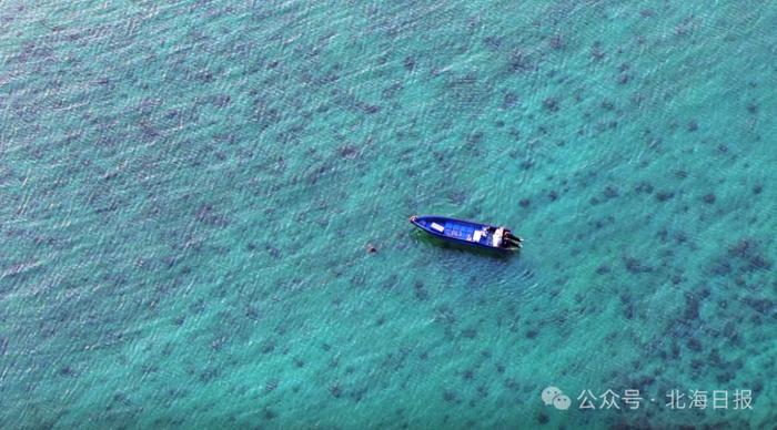 游客慕名前来打卡！北海有一片绚丽的“玻璃海”