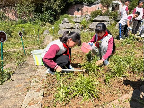 重庆市南川区马嘴实验学校：培养更多的中医药文化小使者