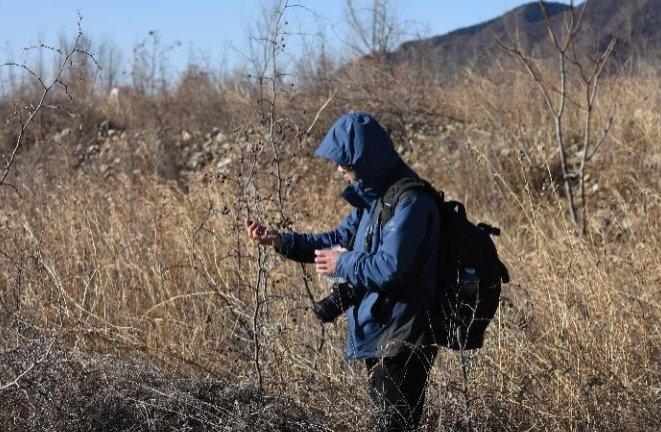 7年拍了6000张高清“写真”，广州高校青年教师填补了国内空白