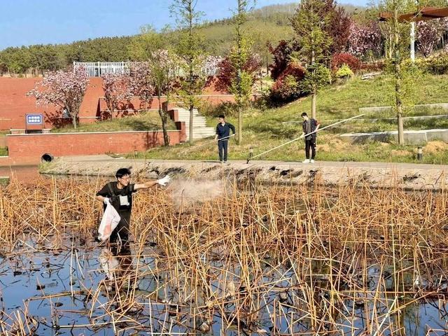 青岛理工大学：清池净滩护碧水蓝天，大学生实践悟真知