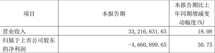 新光光电：2024年第一季度亏损466.09万元