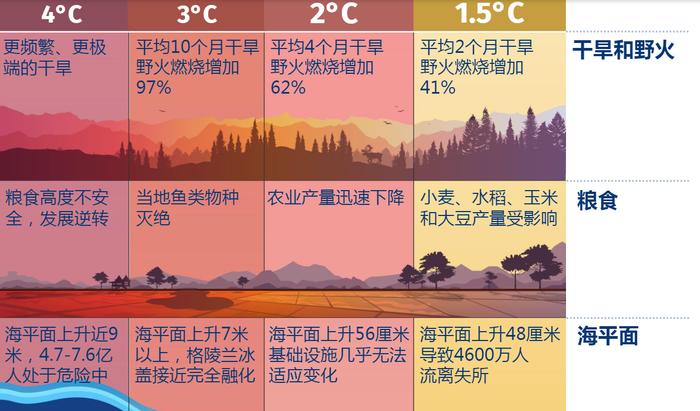 多地遭遇暴雨洪灾、极端天气频发，2024全球气温或创新高