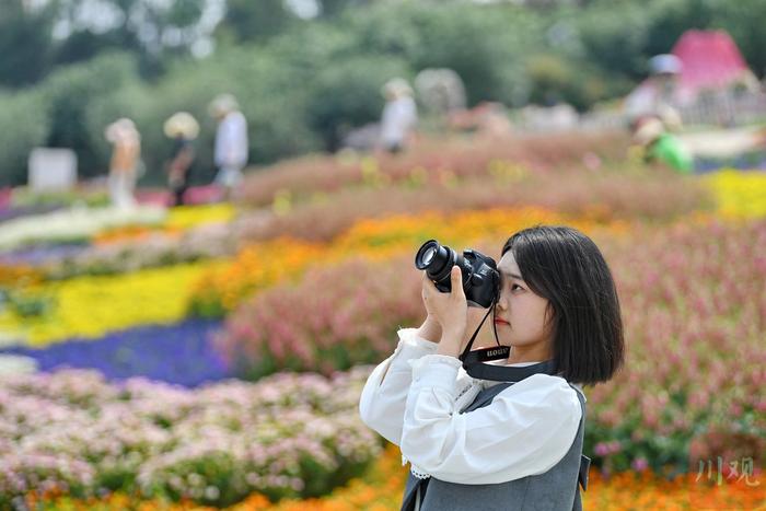 C视频丨成都：“五彩花海”打翻春天的调色盘