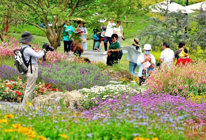 C视频丨红墙瓦黛 竹影流瀑 世园会成都园让人流连忘返