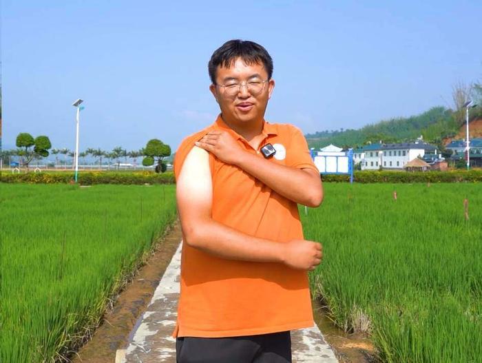 种地也能这么酷，看云南这群大学生怎么“爆改”水稻