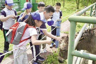 开着春天的火车  趣探萌宠的乐园