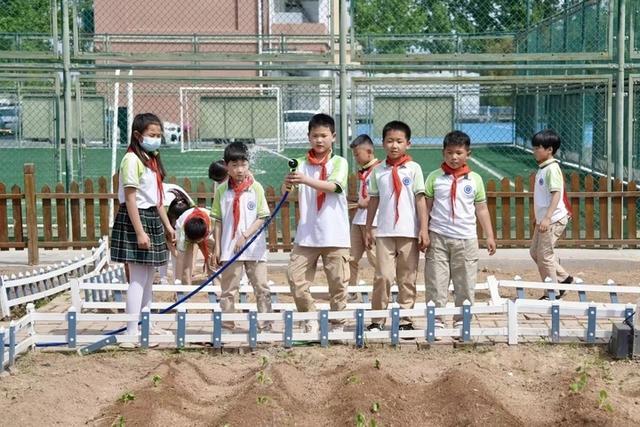 教育强国建设江苏在行动②｜播种热爱生活的种子！看徐州如何上好劳动教育“必修课”