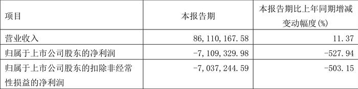 四川金顶：2024年第一季度亏损710.93万元