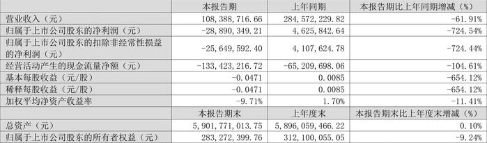 文科股份：2024年第一季度亏损2889.04万元