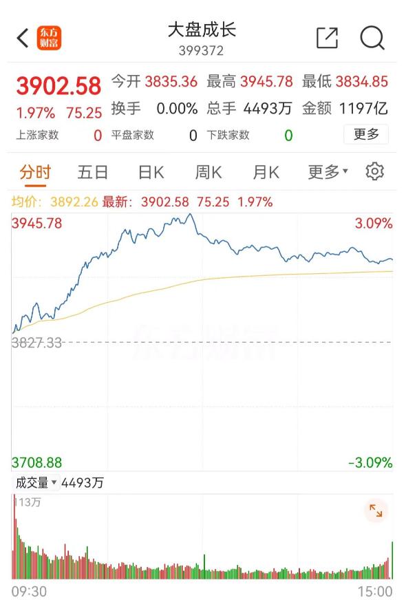 锁定退市！“史上最贵ST”陨落