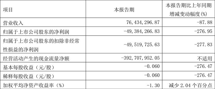 西藏城投：2024年第一季度亏损4938.43万元